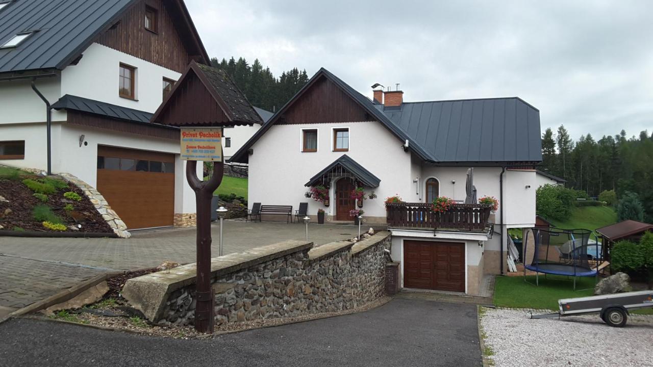 Apartmany - Privat Pacholik Rokytnice nad Jizerou Εξωτερικό φωτογραφία